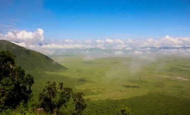 Tanzania Summit to Savannah