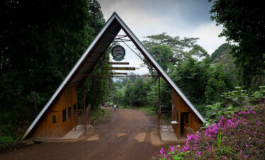 Best Tanzania Safari Tour Operators