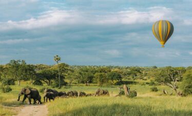 Holiday Tour Packages For Serengeti
