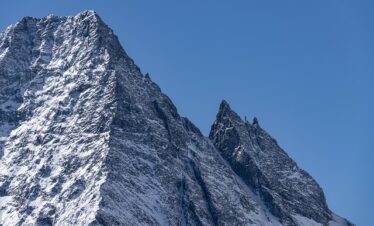 Tanzania Safari Tour Operator